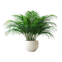Green potted plants, including palm trees, bring a touch of nature indoors
