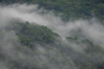 fog in the mountains