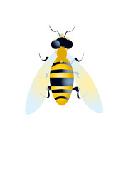 Graphic bee