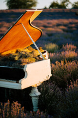 Piano surrounded by lavender field at sunset creates a serene musical atmosphere