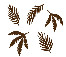 Collection of Tropical Leaves in Natural Brown Tones on a White Background
