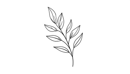 Elegant Hand-Drawn Line Art of Green Leaf Branch with Delicate Leaves and Organic Design Elements