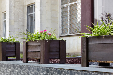 Decorative wooden planter box with blooming flowers. Ornamental plants at city street