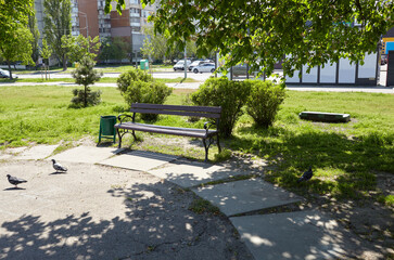 Rest area with bench surrounded by trees and ornamental shrubs in Kyiv, Europe. Place to rest in the city at spring