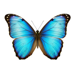Vibrant Blue Morpho Butterfly Wing Close-Up Isolated on Transparent Background