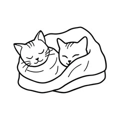 Cat couple sleeping under single blanket in cozy love scene on white background Vector illustration
