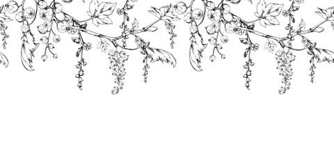 Currant gooseberry with long flower clusters on branch, leaves, hanging ripe garden casseille berry jostaberry. Hand drawn in vector ink. Isolated seamless banner border garland. Menu, farmers market