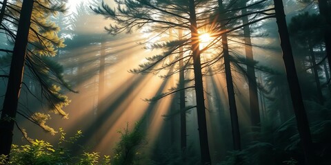 Misty dawn in an ancient evergreen forest, sunlight filtering through the canopy, pine,  lush