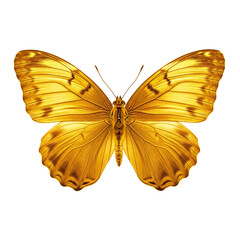 Fototapeta premium Close-Up of a Golden Butterfly Isolated on Transparent Background