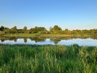 Summer landscape by the river early in the morning
