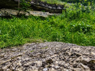 A rock sits in a grassy field. The rock is surrounded by tall grass and there are some weeds growing around it. The scene is peaceful and serene, with the rock providing a sense of stability