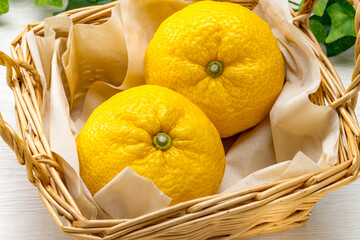 かごに入った新鮮な柚子