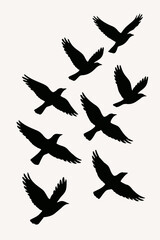 Obraz premium Silhouette of Flock of Flying Birds Illustration