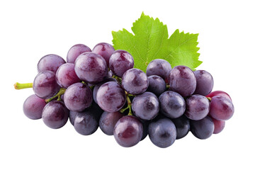 Fototapeta premium Fresh Concord Grapes on Vine with Green Leaf Natural Purple Fruit Sweet Dessert Healthy Food on transparent background