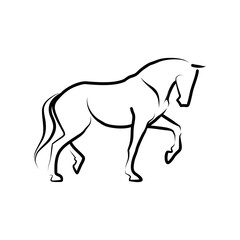 Elegant Horse Line Art Equestrian Vector Illustration