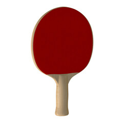 Pingpong table tennis bat