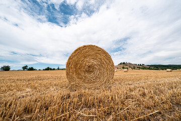 Field after crop harvest with dry straw bales