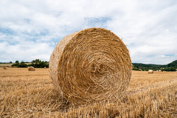 Harvested field with straw bales
