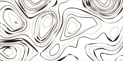topo wavy black and white mountain surface, landscape topography line map wavy texture design background.Abstract white on White background Topographic line map pattern