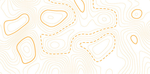 topography contour map white wave paper and curve golden color lines vector background.Abstract topographic contour map and geographic mountain relief background design