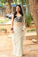 Full-Length Portrait of Indian Woman in Traditional Saree Walking Outdoors