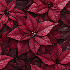 Christmas background with red poinsettia.