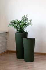 Large floor planters with flowers. Home interior