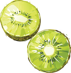 Two Slices of Kiwi Fruit with Watercolor Style Vector Illustration