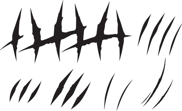 claw scratches, vector illustration on white background. animal claws scratching of cat, tiger, lion, bear.