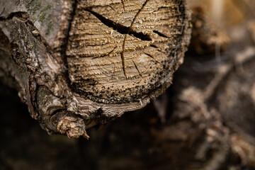 Pile of split firewood, ready for burning. Close-up of weathered wooden planks showing knots and...