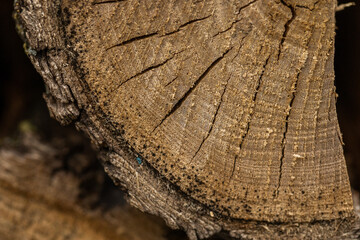 Pile of split firewood, ready for burning. Close-up of weathered wooden planks showing knots and...
