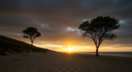 Fototapeta premium Beautiful Beach Sunset with Silhouetted Trees and Peaceful Sky