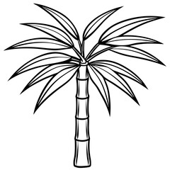 Bamboo Palm line art vector