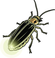 A vibrant and detailed overhead illustration of a firefly, highlighting its glowing abdomen and intricate body