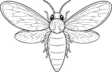 A clear and detailed overhead illustration of a firefly, highlighting its translucent wings