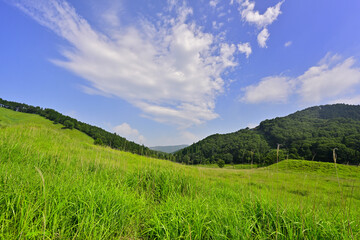 新緑の砥峰高原