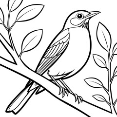 American Robin sitting in the branch vector with line art design