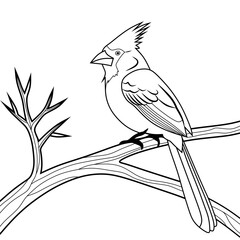 cardinal silhouette line art vector illustration with a white background