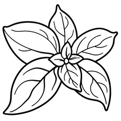 Basil line art vector
