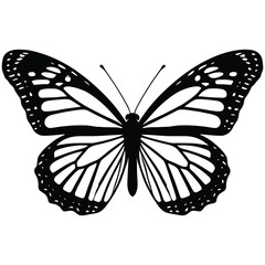 Elegant Butterfly Silhouettes