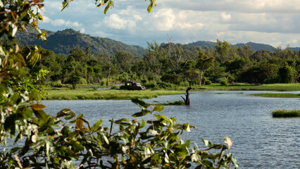 Wildlife Photography from Sri Lanka – Animals in National Parks and Natural Habitats