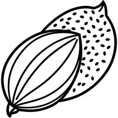 Chia seeds line art vector