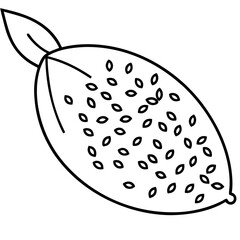 Chia seeds line art vector