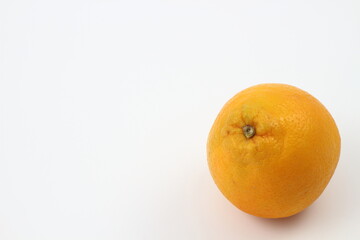 ジューシーなネーブルオレンジ