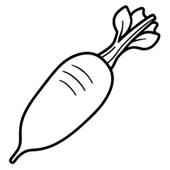 Daikon radish line art vector