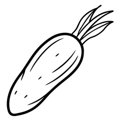 Daikon radish line art vector