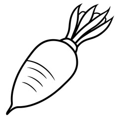 Daikon radish line art vector