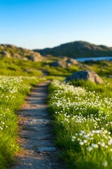 Vertical view of a narrow trail disappearing into tall wild grass with mountains in soft focus behind, dreamy untouched landscape perfect for seasonal calendar