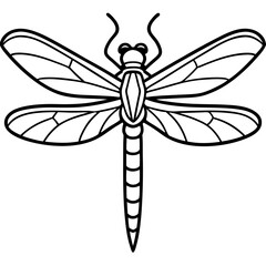 Dragonfly line art vector
