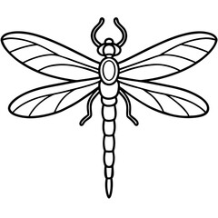 Dragonfly line art vector